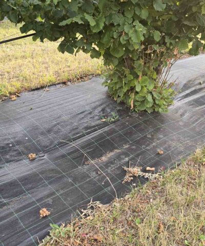 agrotekstil 4,2mx50m